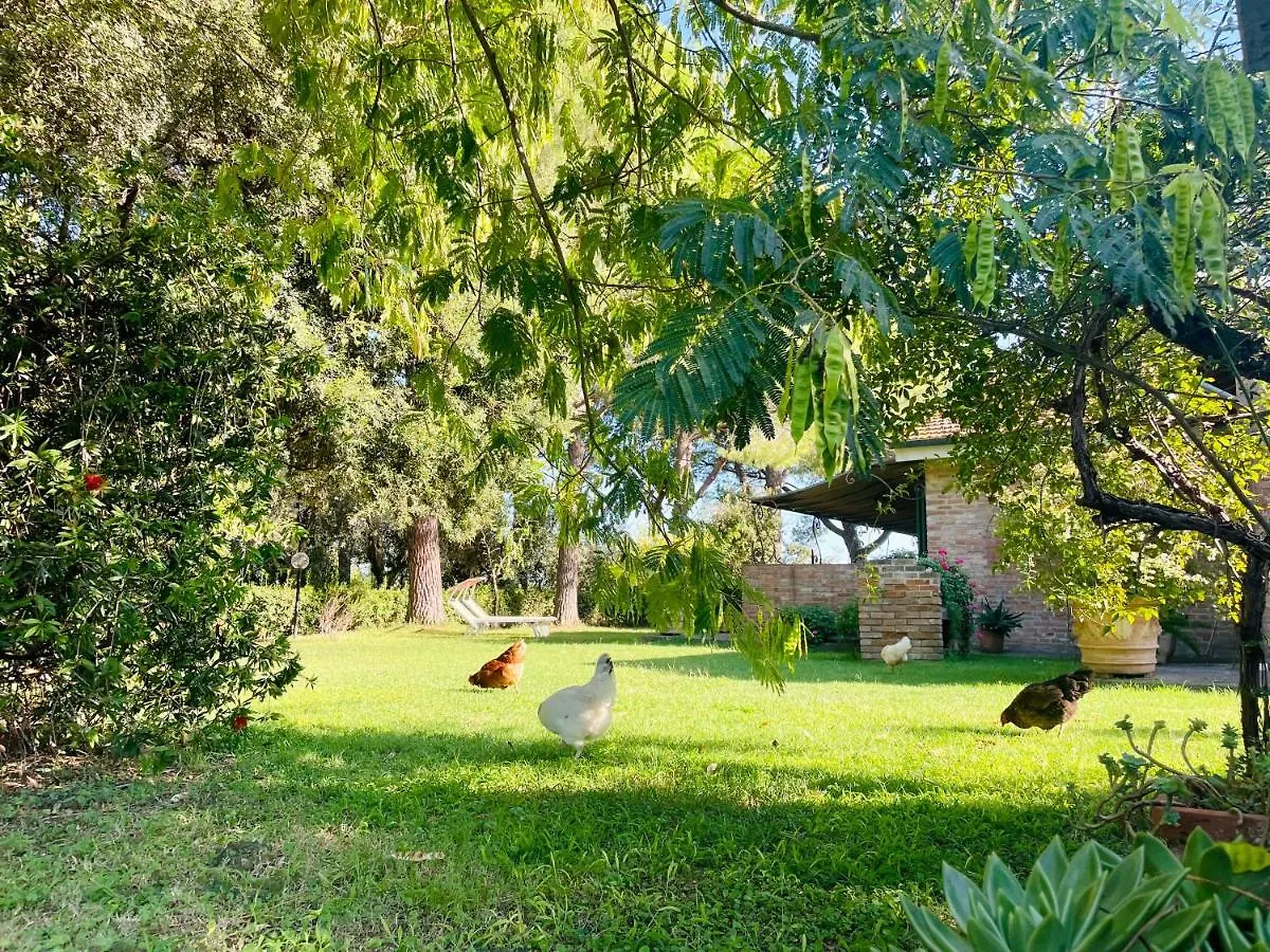 Agriturismo Salcino 그레세토 이탈리아