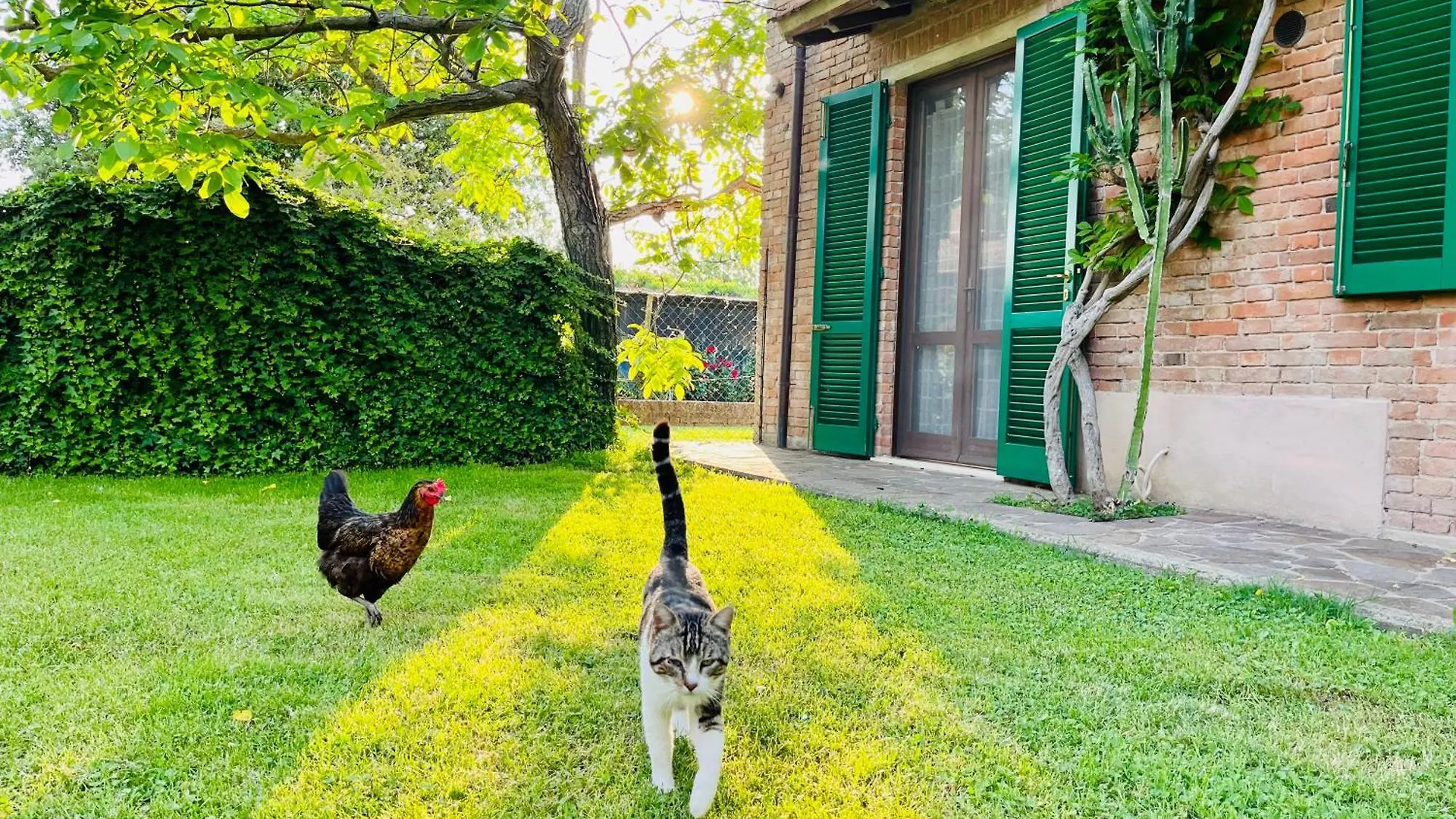 Agriturismo Salcino 그레세토