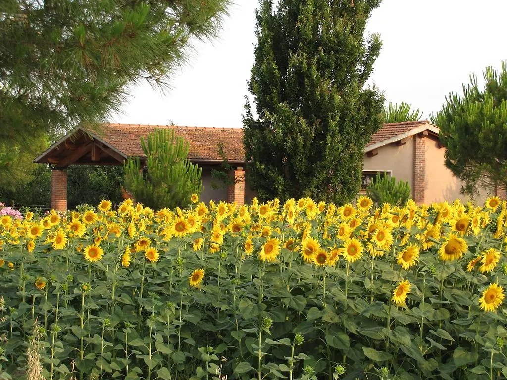 Agriturismo Salcino 그레세토 팜스테이