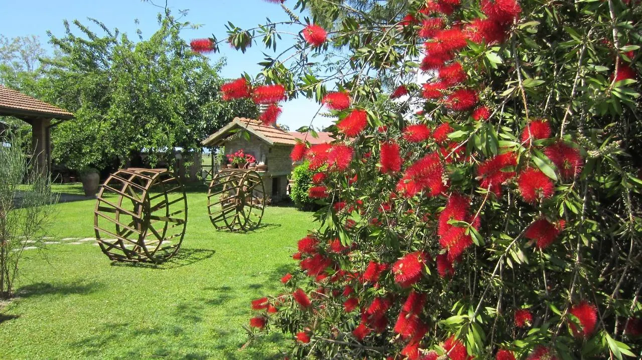 Agriturismo Salcino Grosseto 0*,