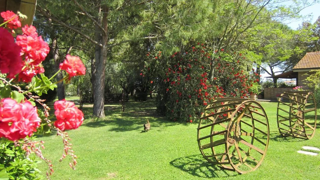 Farm stay Agriturismo Salcino Grosseto Italy