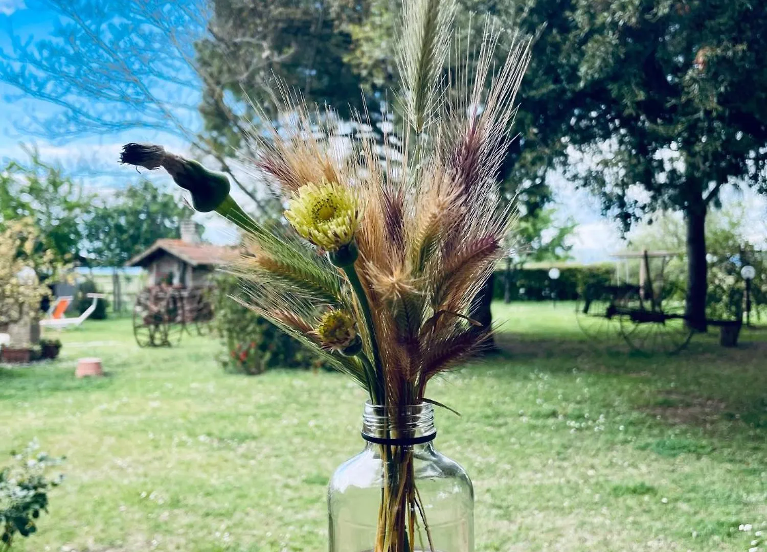 Farm stay Agriturismo Salcino Grosseto