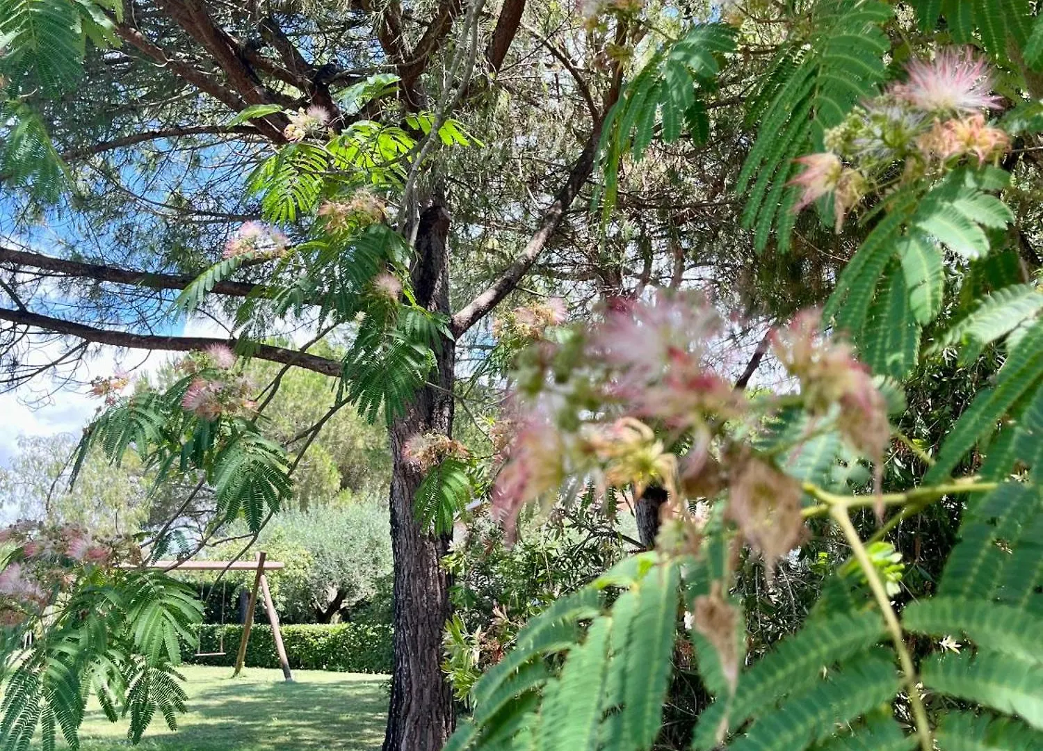 Agriturismo Salcino Grosseto 0*,  Italy