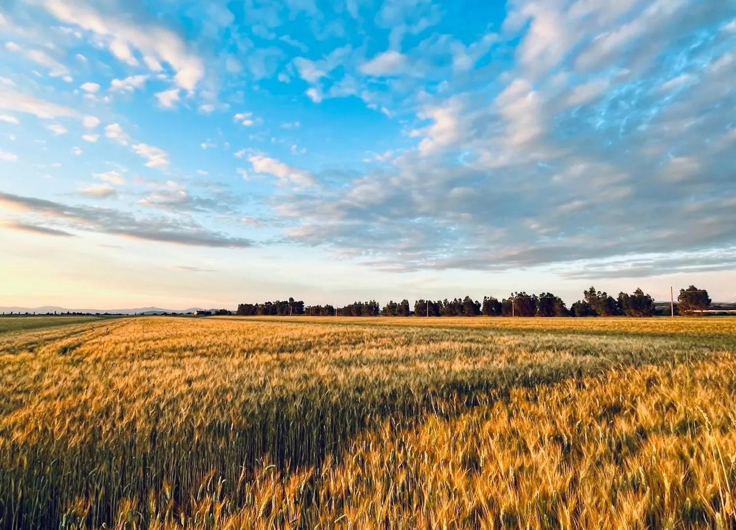Agriturismo Salcino Grosseto Farm stay