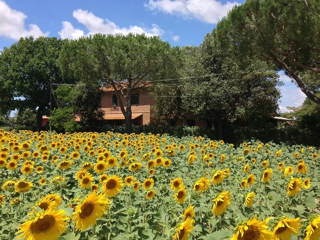 Agriturismo Salcino Grosseto